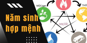 1981 mệnh gì? Giải mã tuổi Tân Dậu 1981 hợp mệnh – màu – hướng – tuổi nào